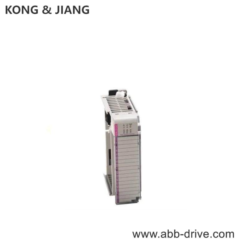 AB 1769-IA8I AC Digital,8 Point