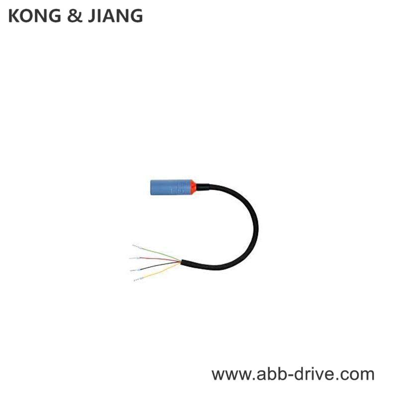 E+H CYK10-G101 Digital Measuring Cable