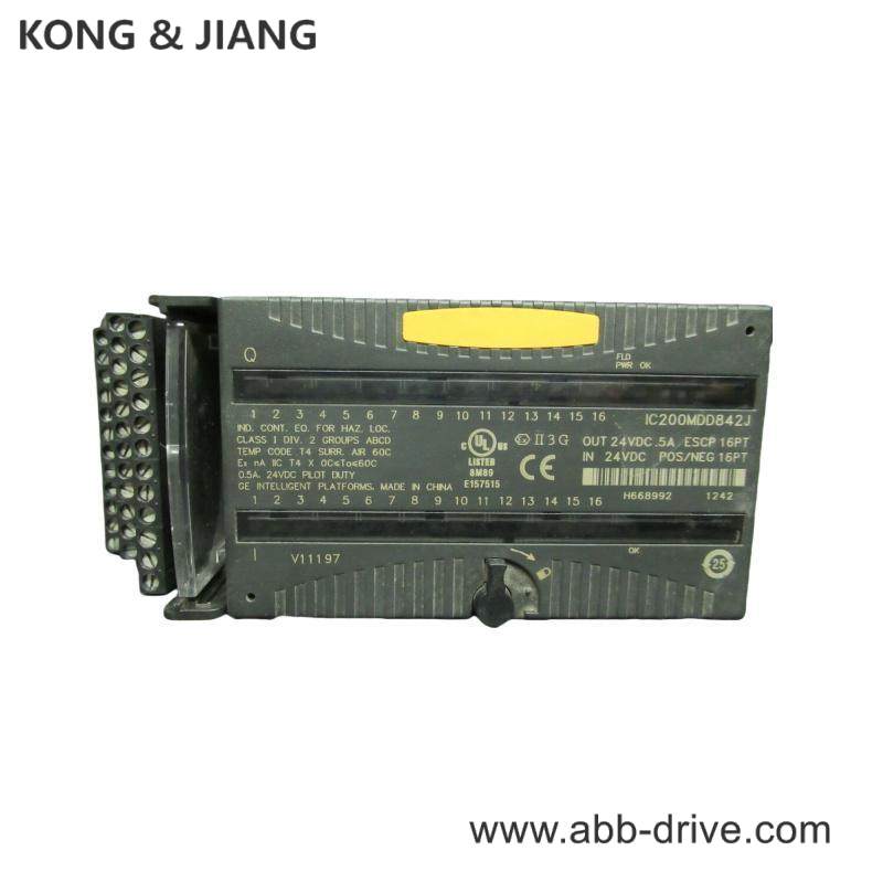 GE IC200MDD842J Mixed 24VDC Output ESCP 16 Pt Input Module