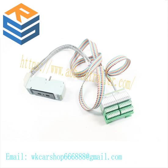 FOXBORO P0500SR Termination Cable Assembly