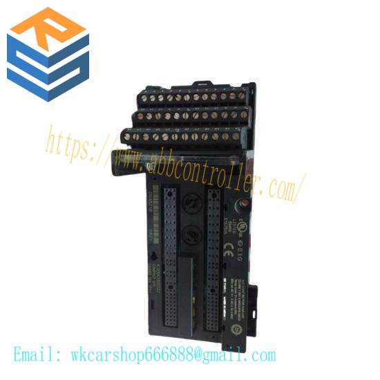 GE FANUC IC200CHS022 Controllers