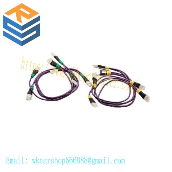 Honeywell 51202306-002/NC-3110 CABLE I/O LINK PROTECTION 2M