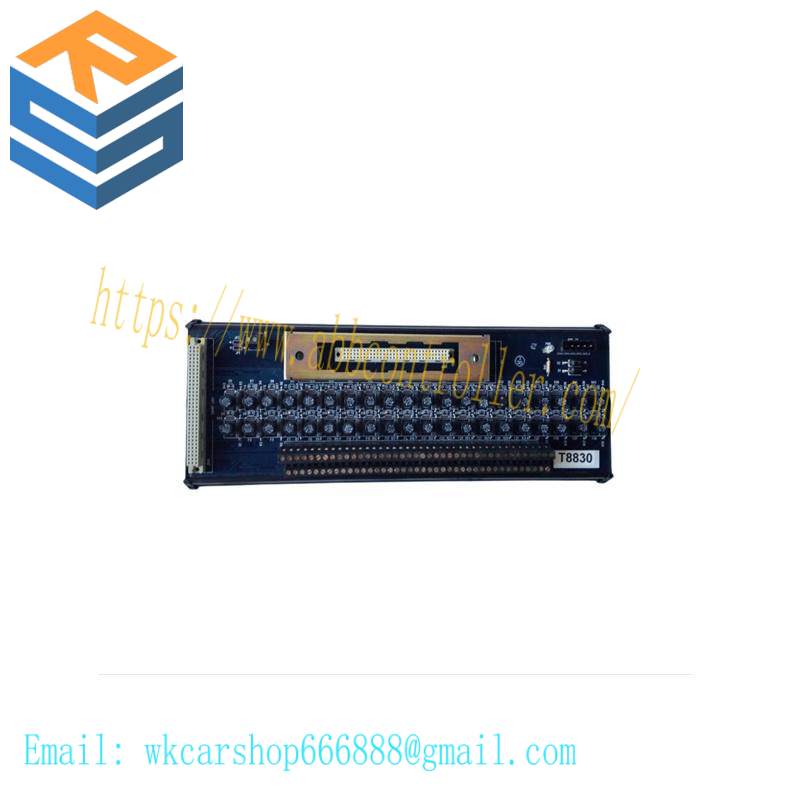 ICS TRIPLEX T8191