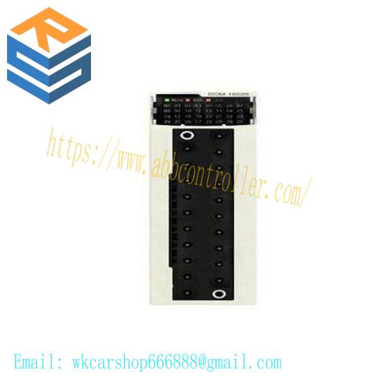 Schneider BMXDDO1602 discrete output module