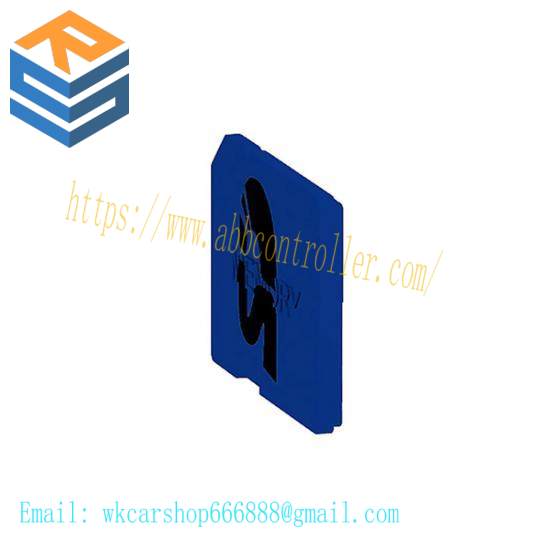 Schneider BMXRWS128MWF SD flash memory card