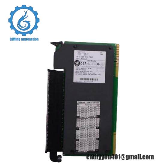 810019952R