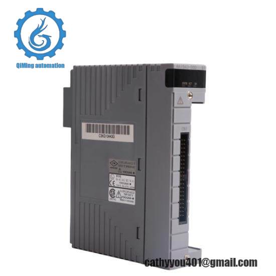 Yokogawa AAI543 Analog Output Module