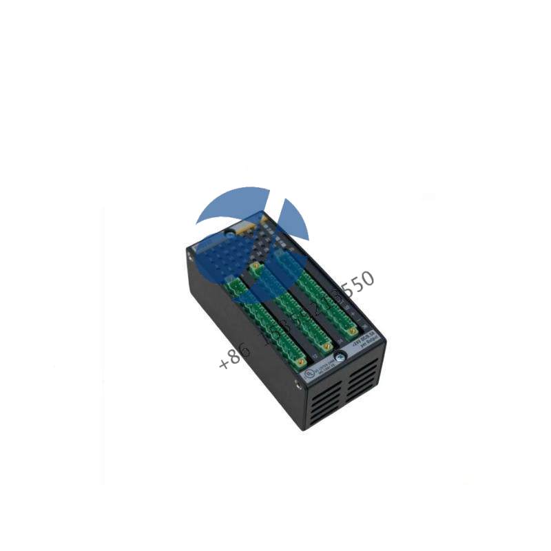 BACHMANN DI0232 Digital Input/Output Module