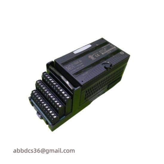 GE Fanuc IC200ALG266F input module