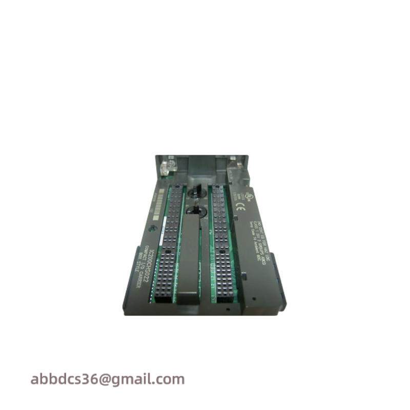 GE IC200CHS022 carrier module