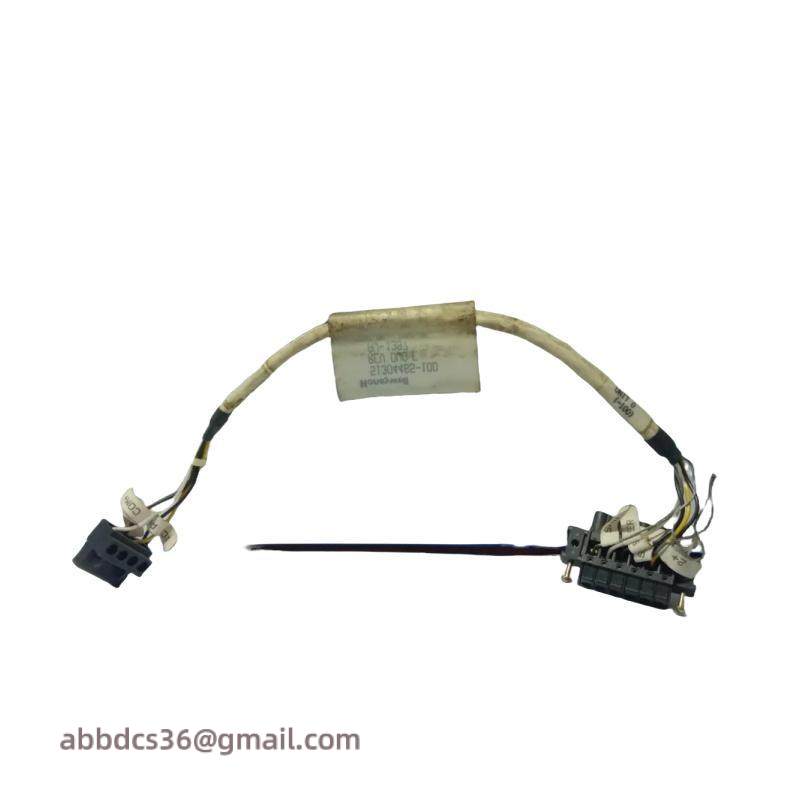 HONEYWELL 51304465-100 Cable