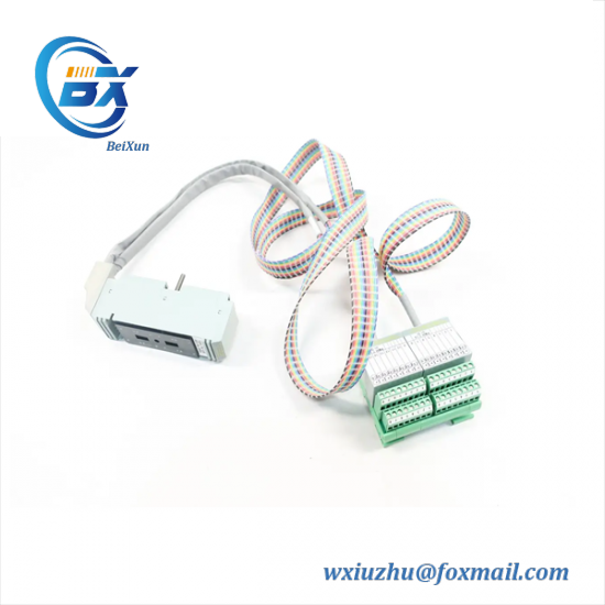 FOXBORO P0500SR Termination Cable Assembly