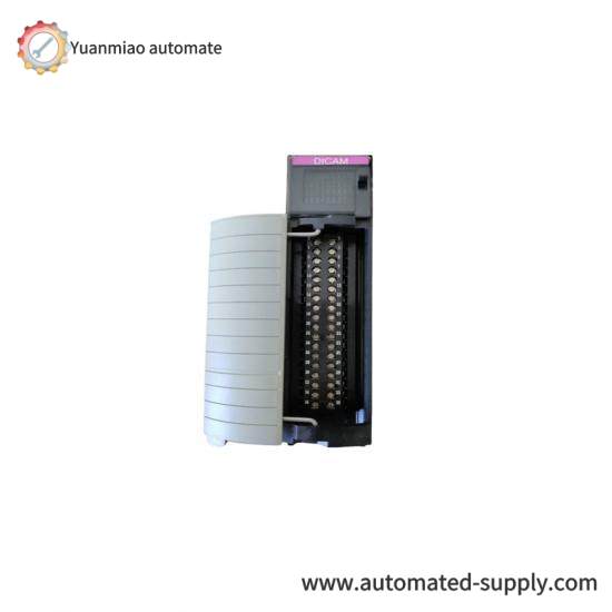 1756-DICAM Digital Cam Switch Module
