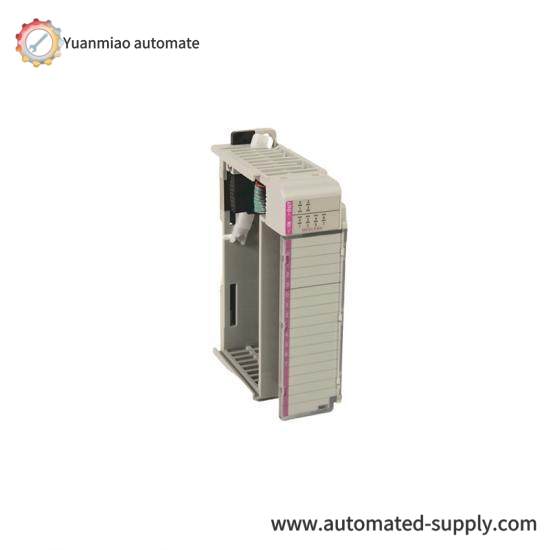 1769-BOOLEAN 24V dc combination input/output module