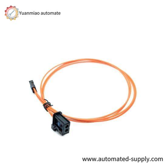 FOXBORO RH100HX