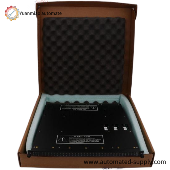 TRICONEX 3007A