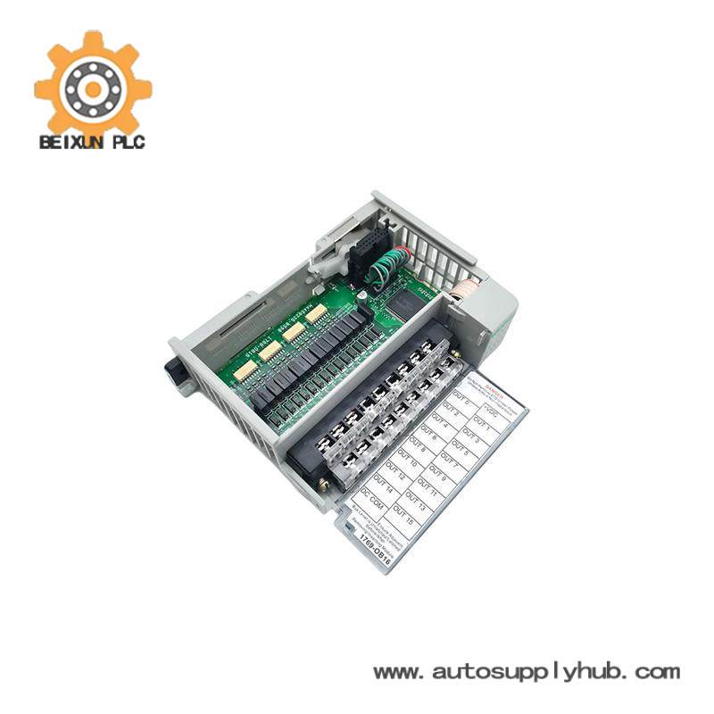 AB 1769-OB16 INPUT MODULE