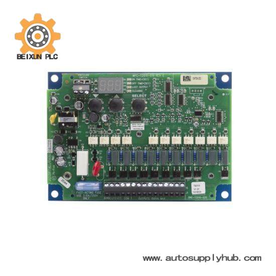 AMETEK DNC–T2010–R20 AC Input