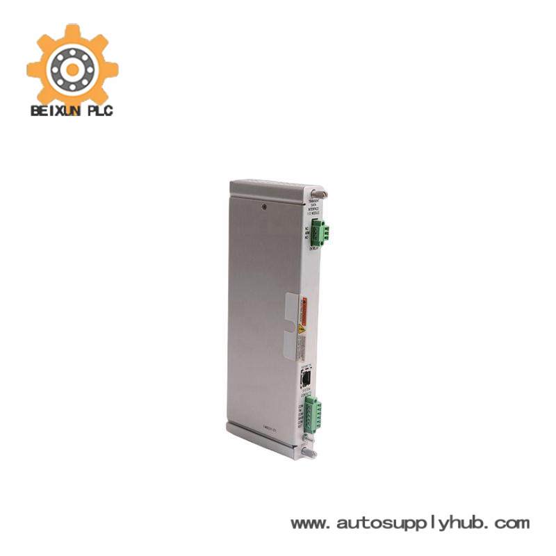 Bently Nevada 125736-01 I/O MODULE