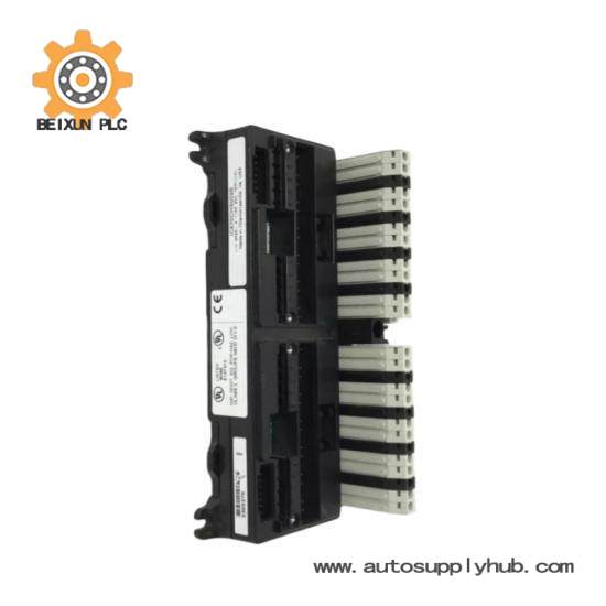 GE FANUC IC670CHS002