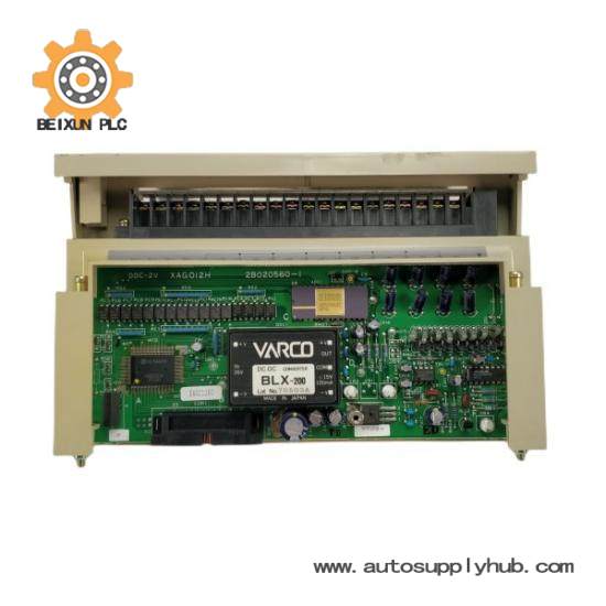 HITACHI XAGC12H XAGC12HC ANALOG INPUT Modular