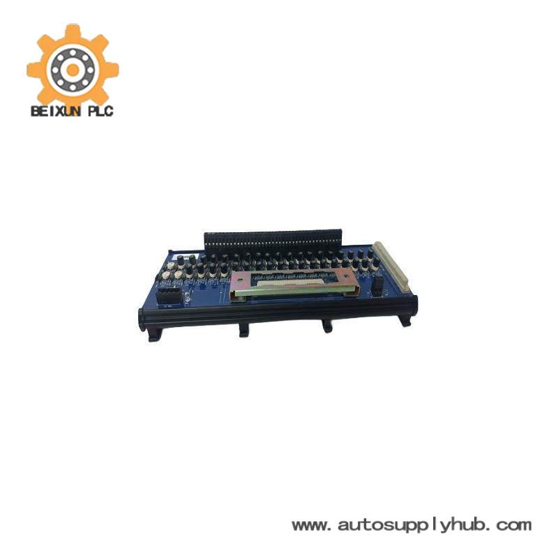 ICS TRIPLEX T8830 Trusted 40 Channel Analogue Input