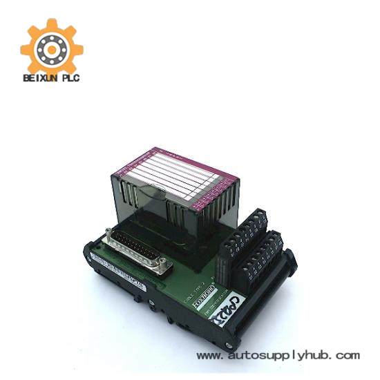 P0916AC  I/A Series Module  Foxboro