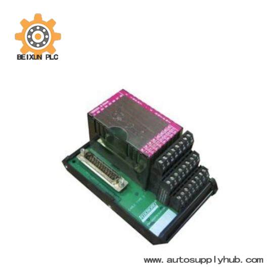 P0916AE  I/A Series Module  Foxboro