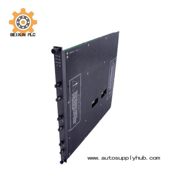 RXM4200  Triconex I/O Cards