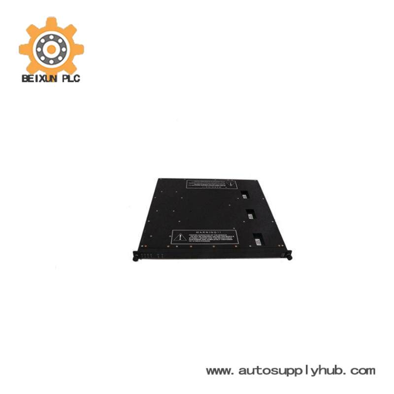 TRICONEX 4000094-320 Module