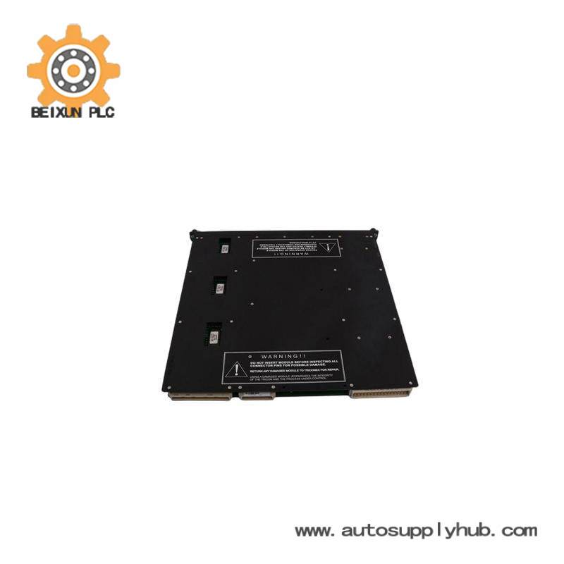 TRICONEX 9563-810 Termination Panel