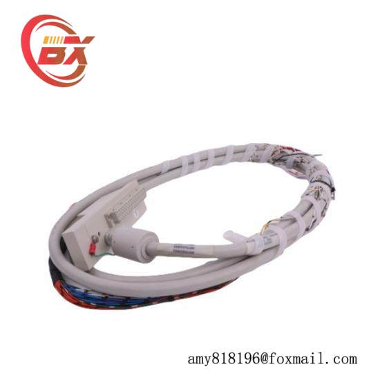 16137-116  Moore I/O Cable