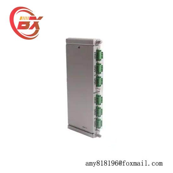 BENTLY NEVADA 133819-02 RTD/TC Temperature I/O Module