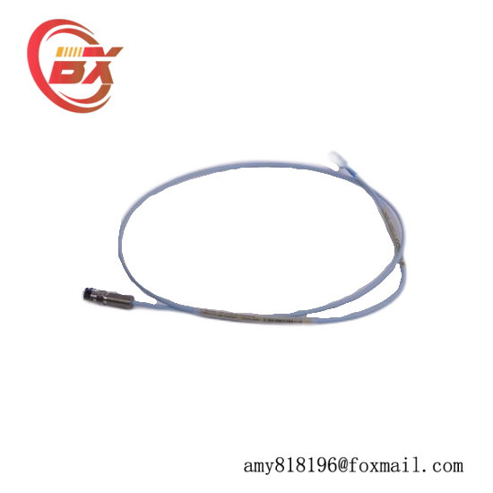 Bently Nevada 300103-A00-B09-C10-D02-E0