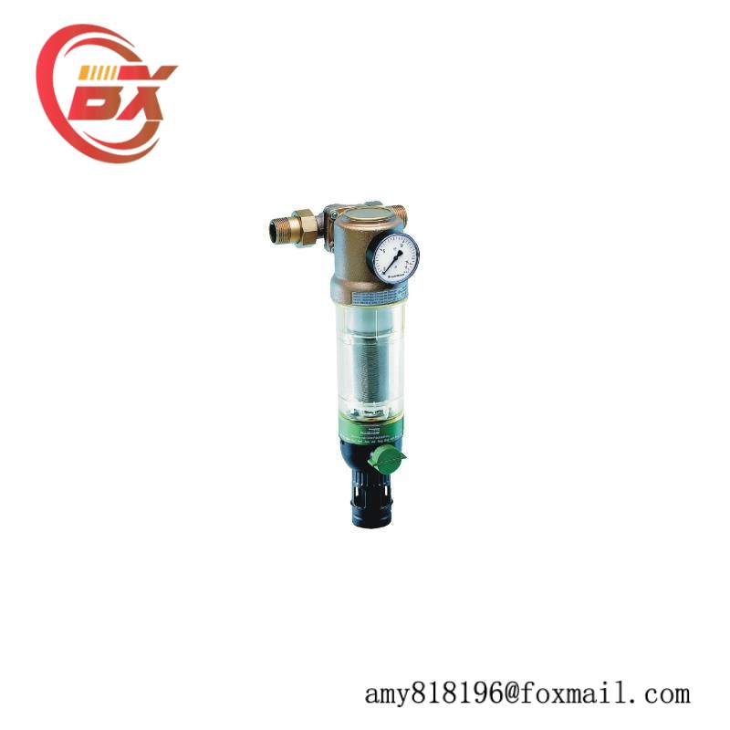 BRAUKMANN F76CS-1AA reverse rinsing filters