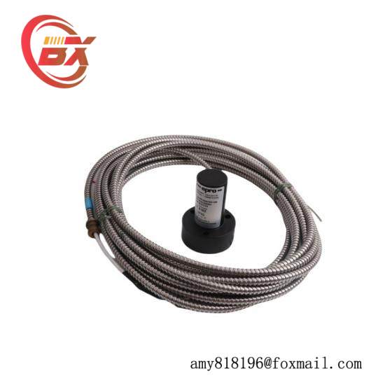 EPRO PR9268/202-100  PR9268202100