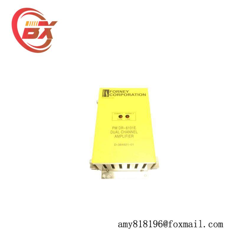 FORNEY RM DR6101E Dual Range Flame Amplifier
