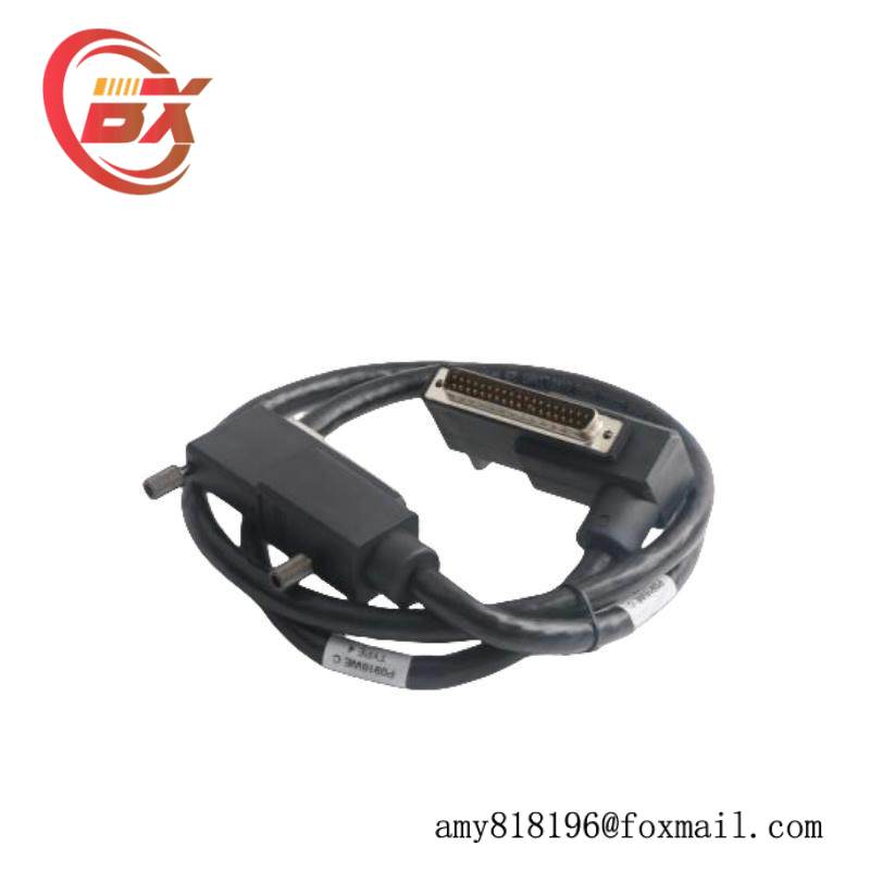 Foxboro P0973DW