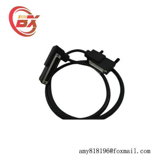 Foxboro RH916DB  Termination Cable