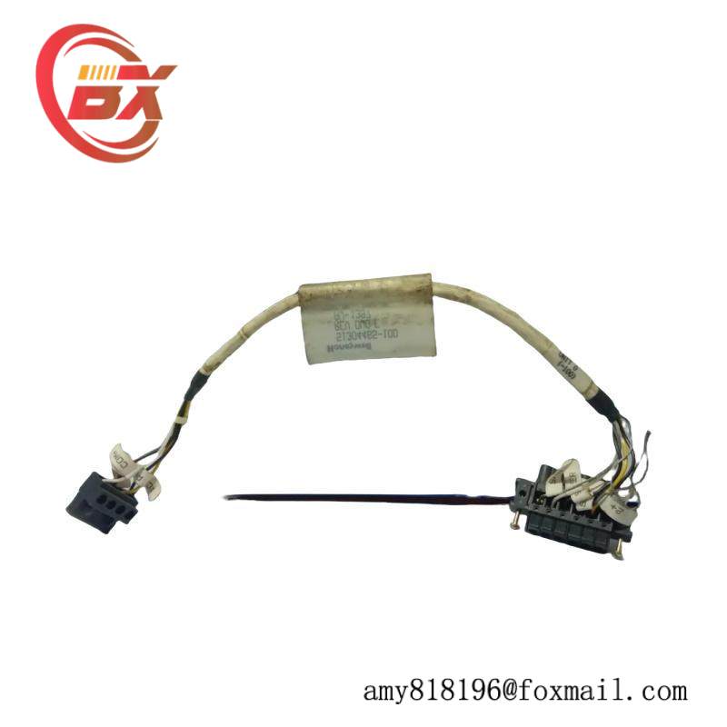 HONEYWELL 51304465-100 Cable