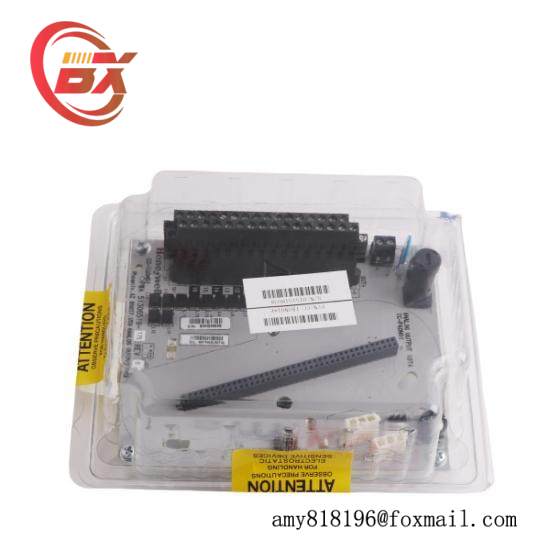 Honeywell DC-TAON01  Digital Module