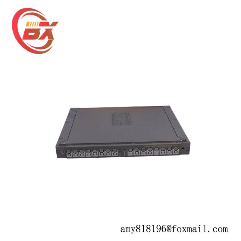 ICS TRIPLEX T8310
