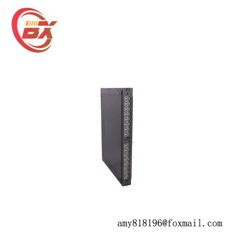 ICS TRIPLEX T8451 Module