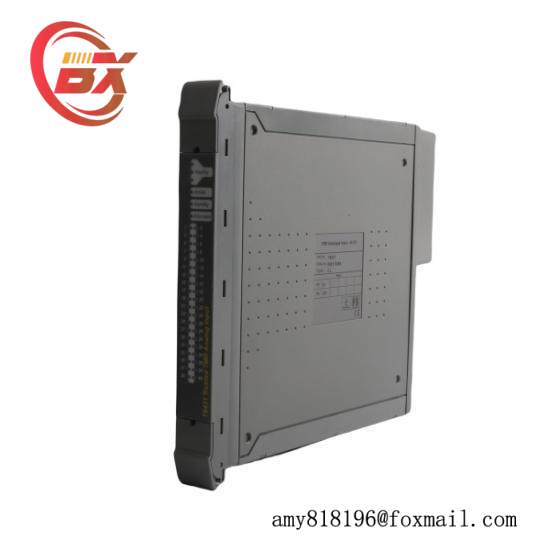 ICS TRIPLEX TC-303-01-2M0