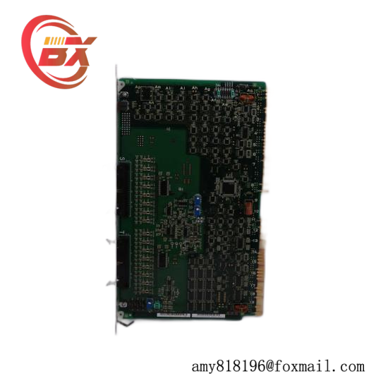 NELES A413181