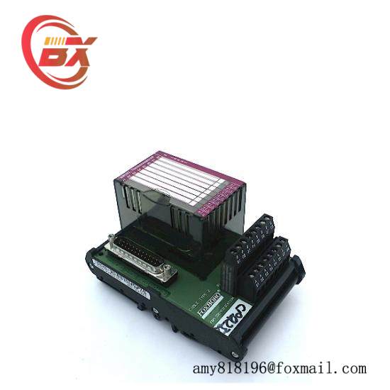 P0916AC  I/A Series Module  Foxboro