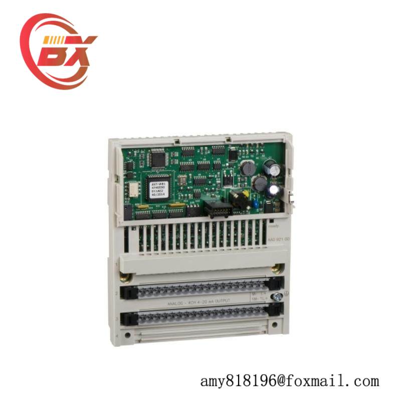 Schneider 170AAO92100 Analog Output