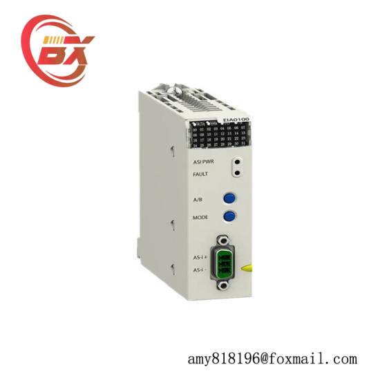 Schneider BMXEIA0100 master module