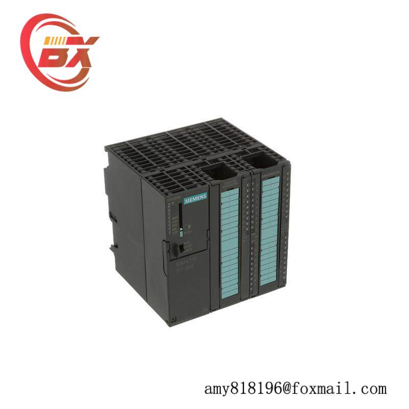 SIEMENS 6ES7313-5BG04-0AB0 DIGITAL OUTPUTS