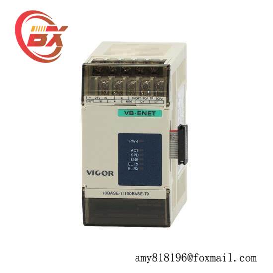 Vigor VB-4PT  Temperature Module